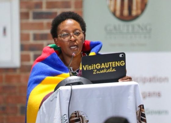 MEC Nomantu Nkomo-Ralehoko