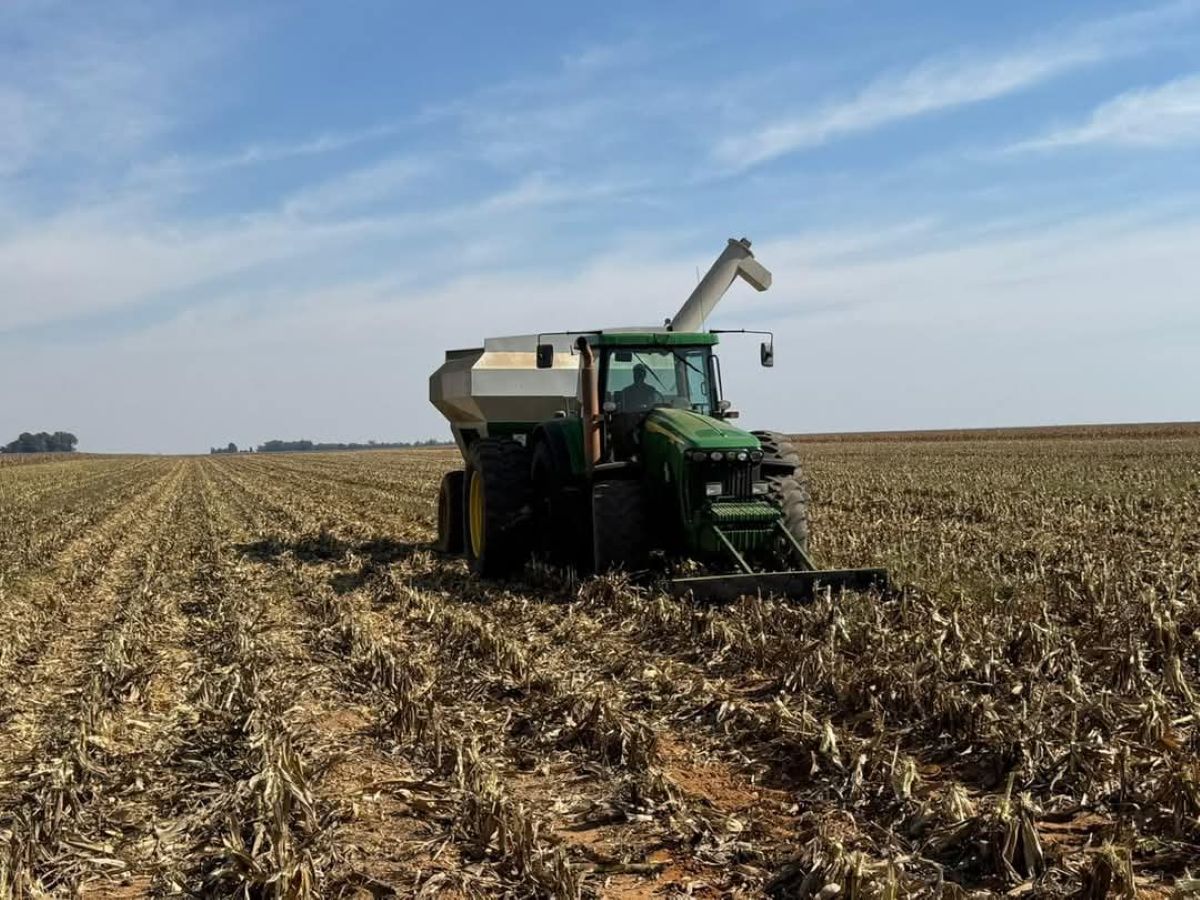 El Niño Threatens South African Agriculture: Department Warns Farmers as Dry 2026/27 Summer Approaches