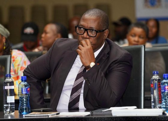 Panyaza Lesufi
