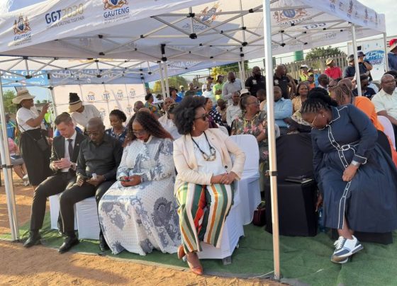 Gauteng executive