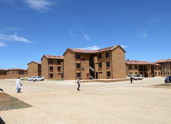 Housing project