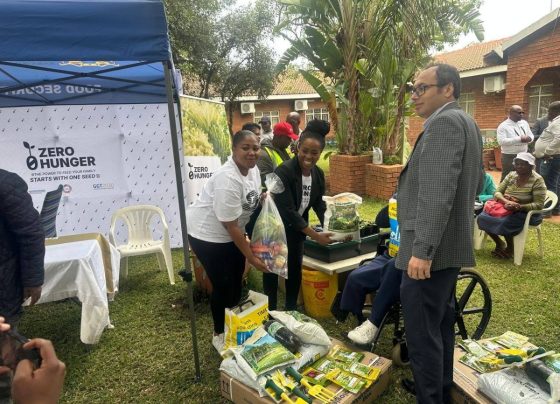 MEC Vuyiswa Ramokgopa