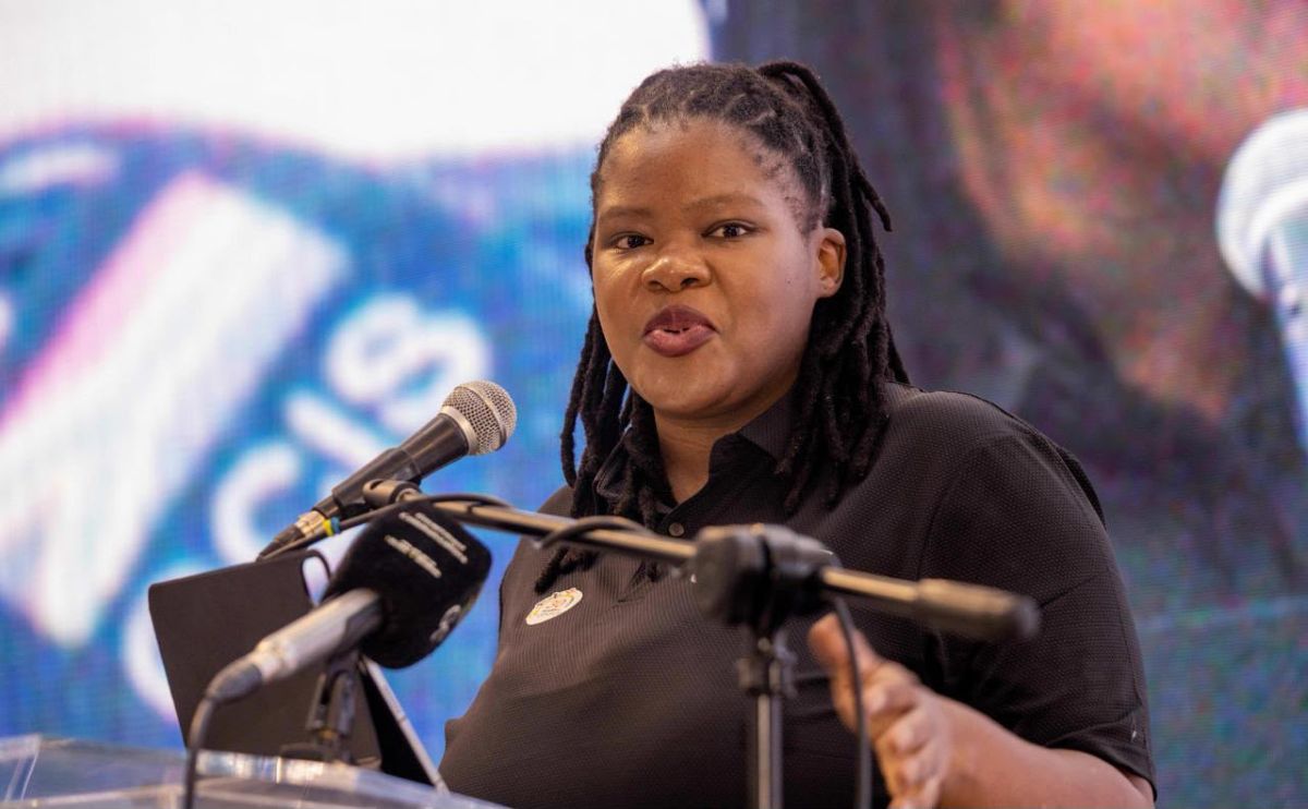 Counting the Nation: Thirty Years of Democratic Census-Keeping and Economic Planning in South Africa