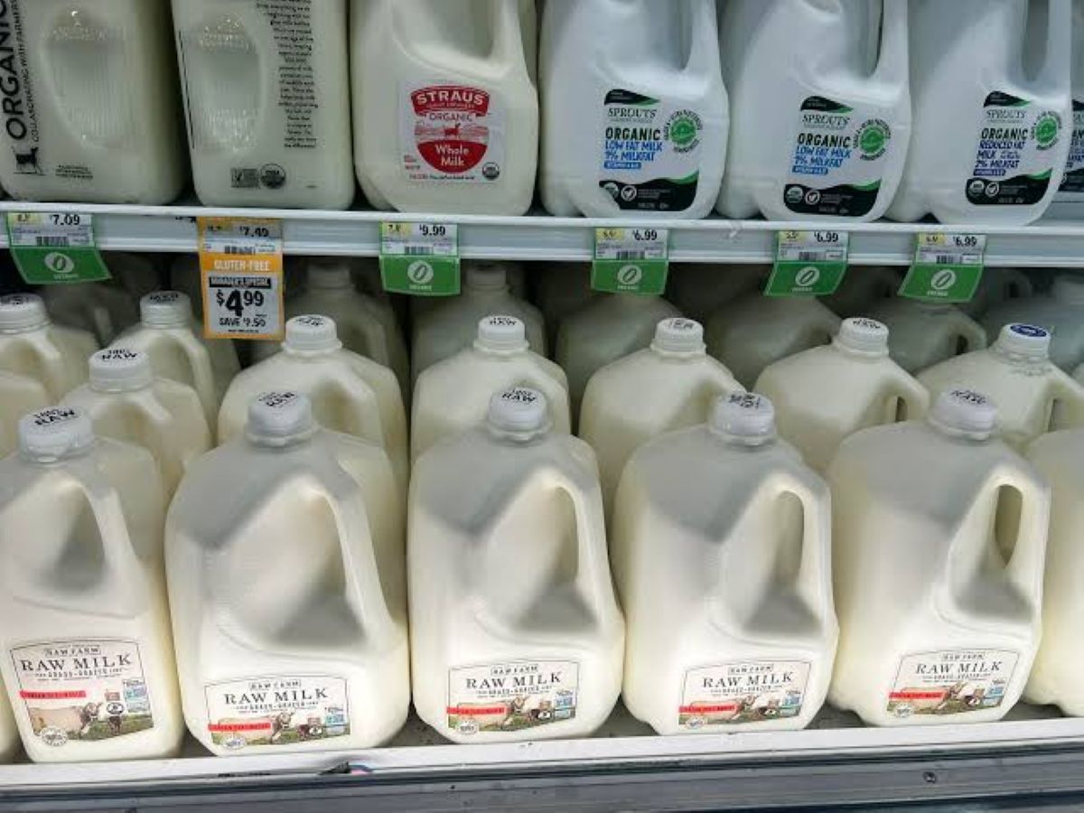 President Ramaphosa Set to Inspect Land Bank-Backed Redlands Dairy Farm in Eastern Cape