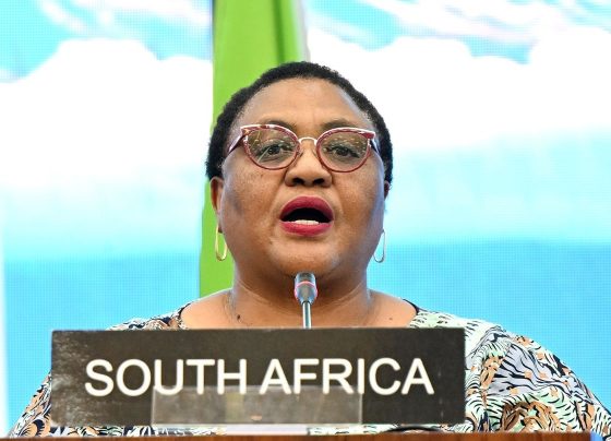 Thoko Didiza